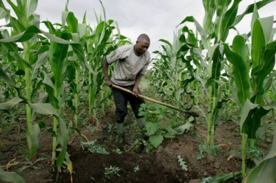 
          Transformation agricole