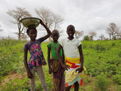 
          Agriculture durable et sécurité alimentaire 