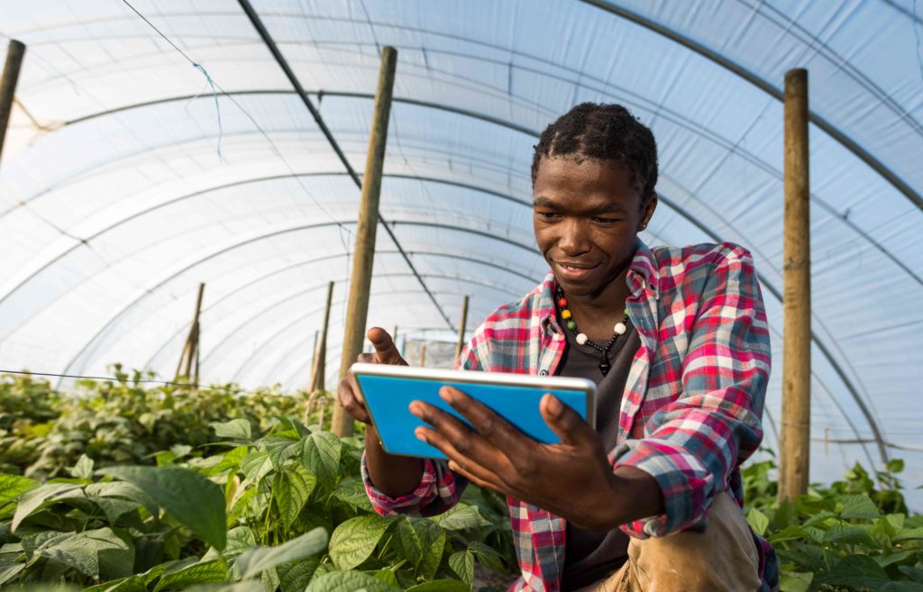 
          Technologie et agriculture 
