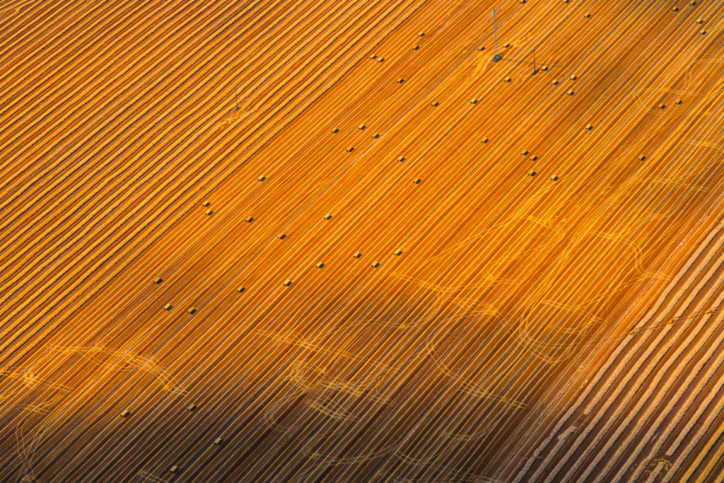 
          L’agriculture de demain 