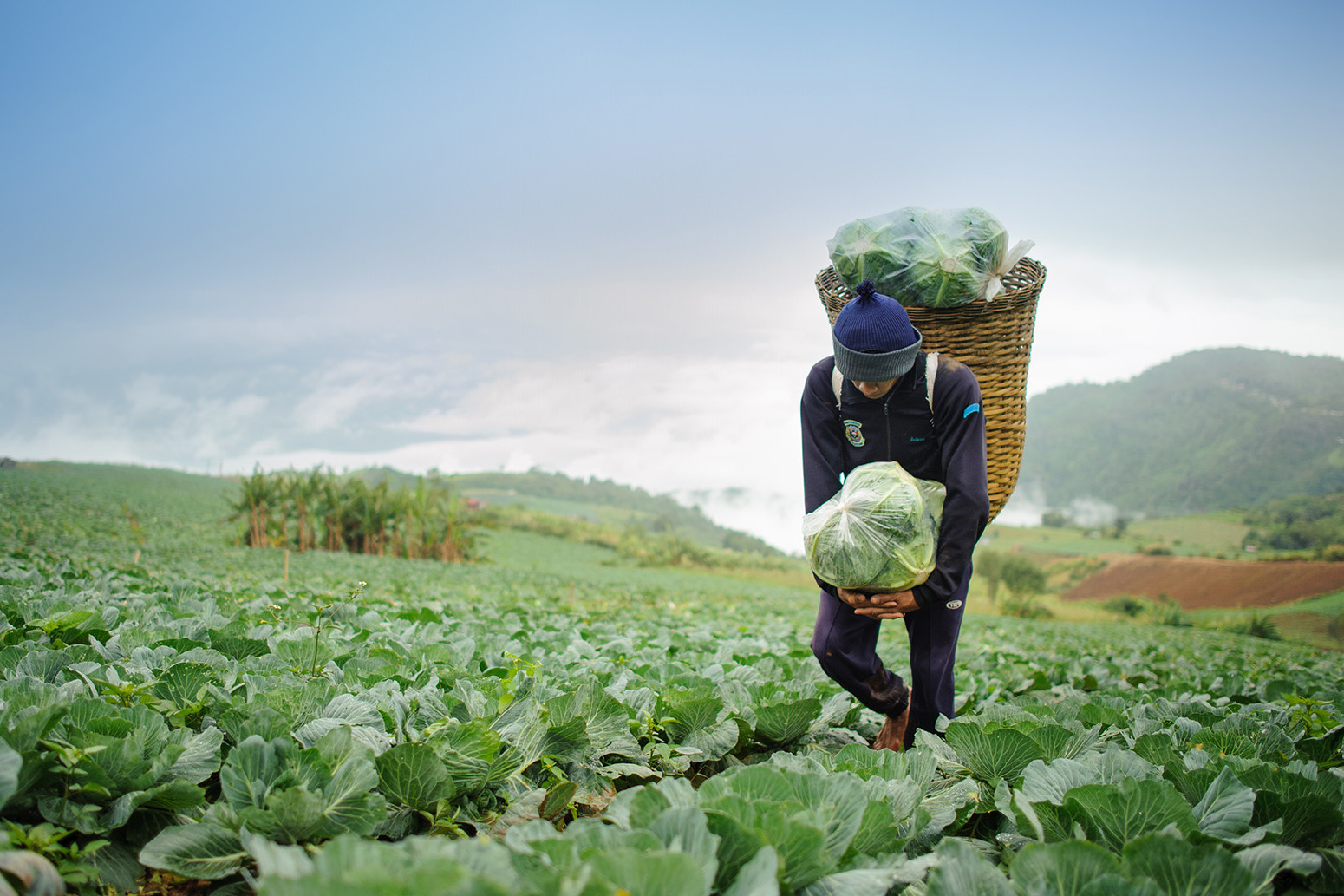 
          Technologie et agriculture en Afrique 