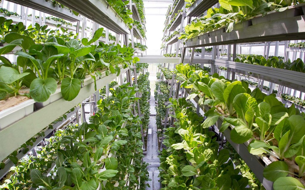 
          Agriculture numérique 
