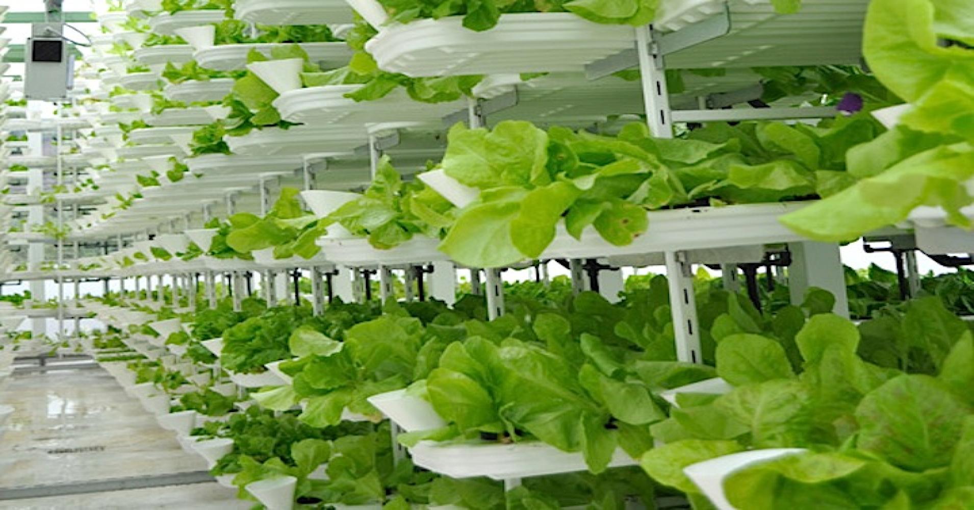 
          L'agriculture numérique