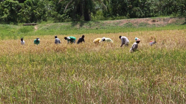 
          Financement agricole 