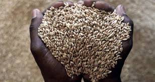 
          Changement climatique et agriculture 