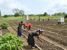 
          Financement agricole 