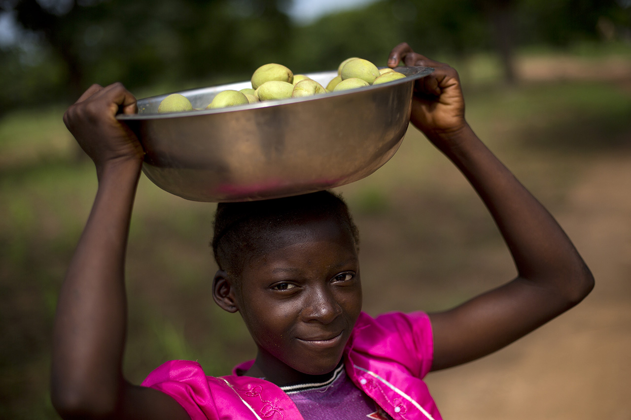 
          L’agriculture en Afrique 