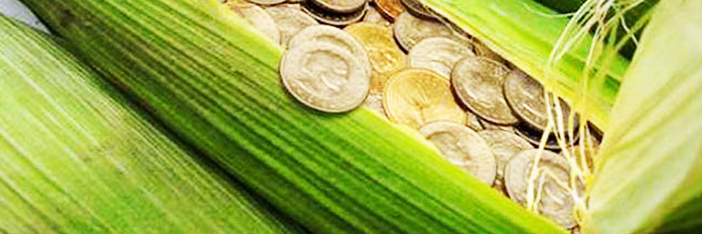 
          Investissement et productivité agricole 