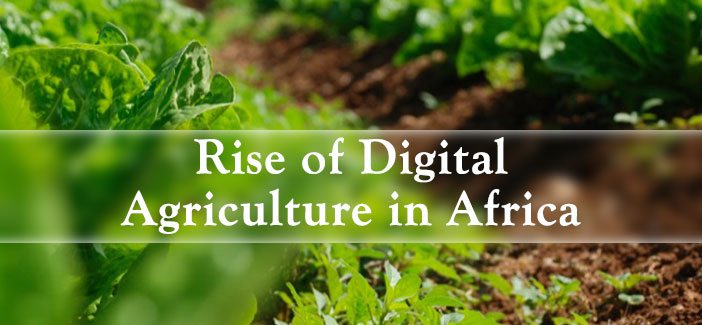 
          Technologie et agriculture 