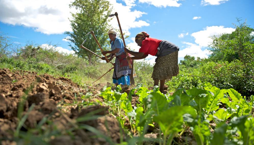 
          Financement agricole 