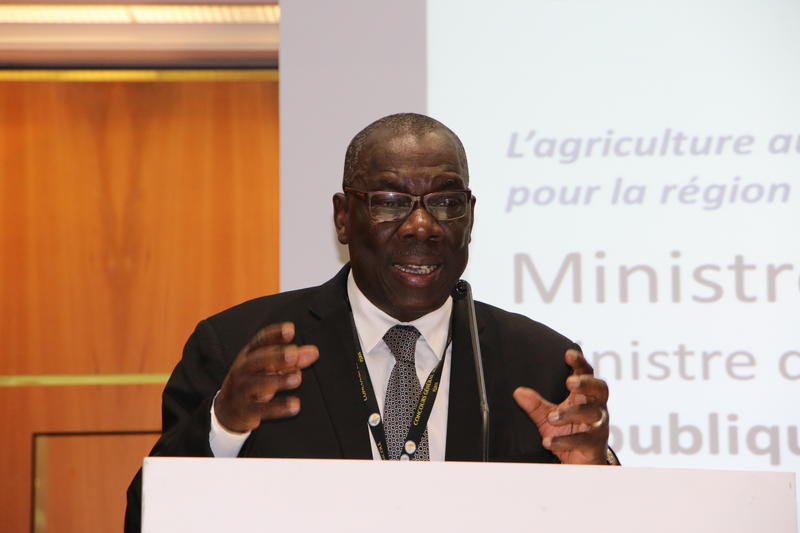 
          L’irrigation au Mali