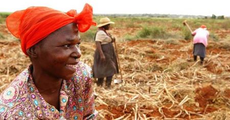 
          Financement agricole 