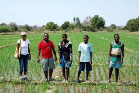
          Agriculture et emploi