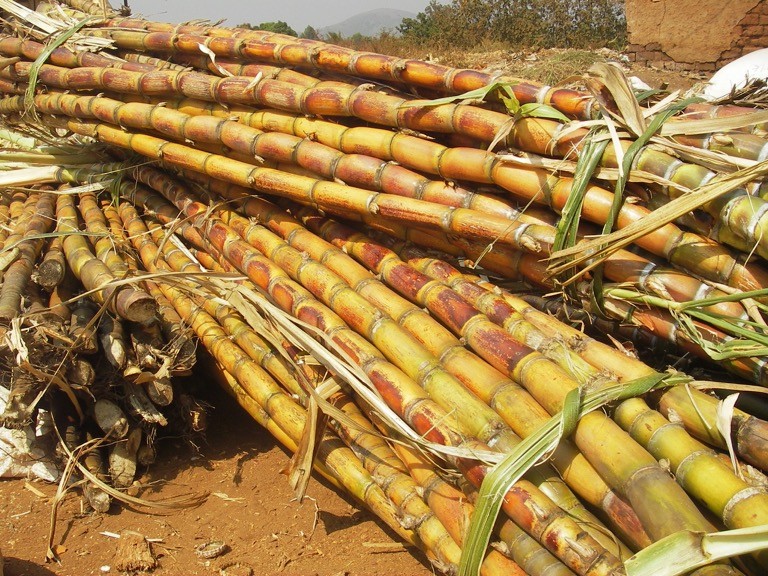 
          La Chronique Matières premières agricoles