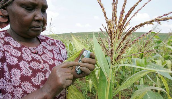 
          Agriculture et TIC