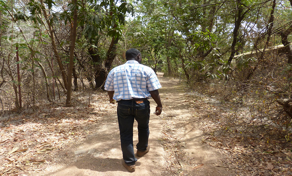
          Entrepreneuriat agricole 