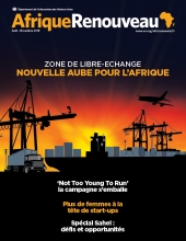 
          L’Agriculture en Afrique 