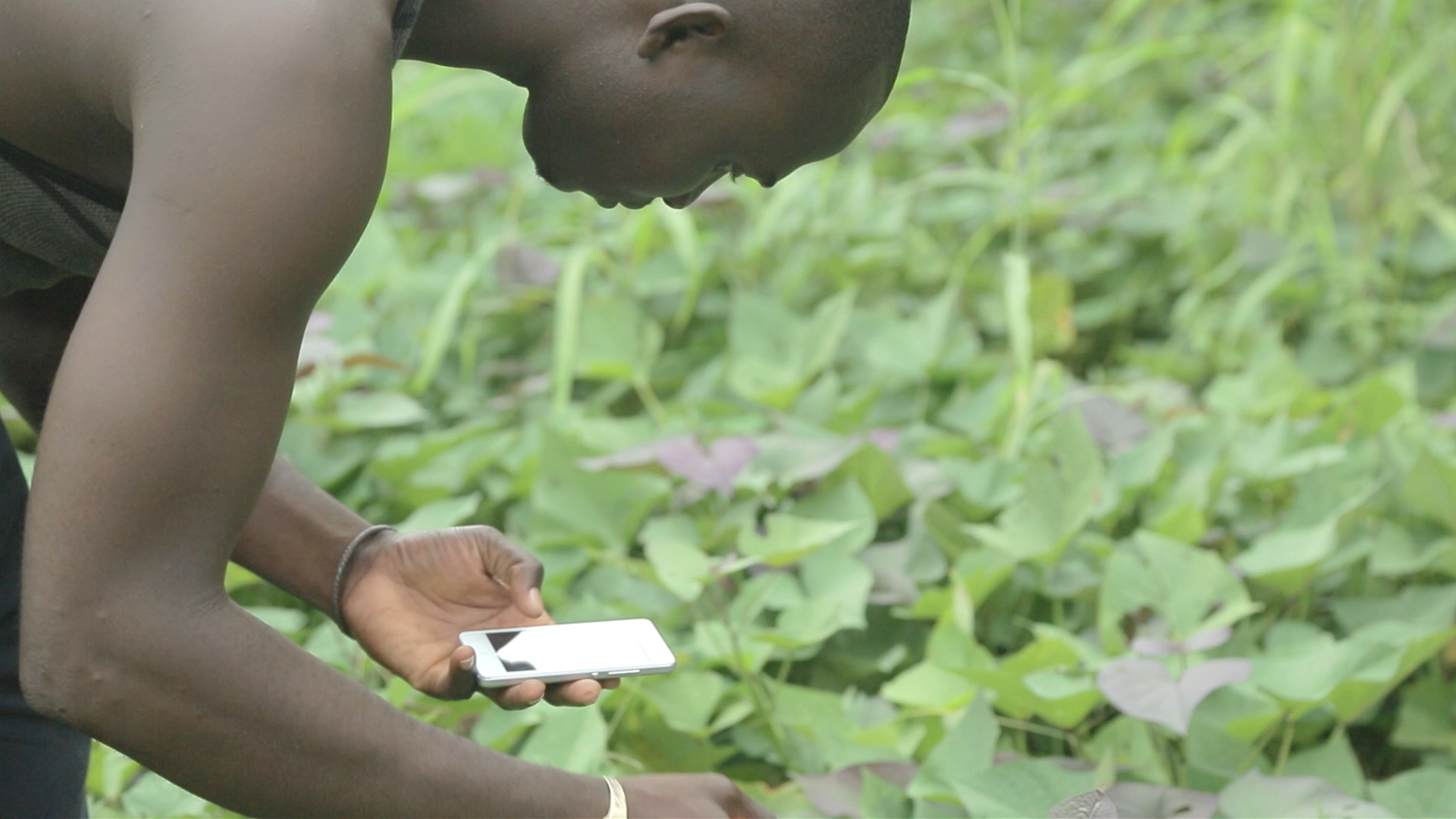 
          Pour la transformation agricole en Afrique 