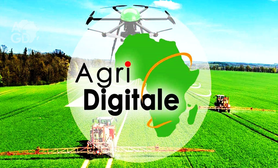 
          TIC et agriculture 