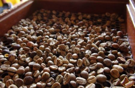 
          Les exploitants de café