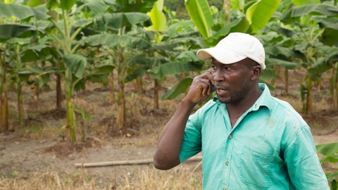 
          Technologie et agriculture 