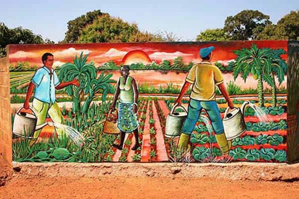 
          Jeunesse et agriculture 