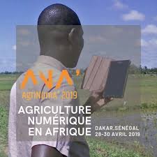 
          Agriculture et TIC