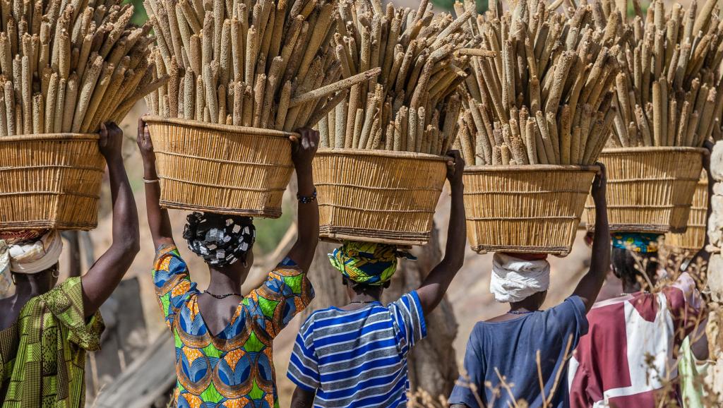 
          Les politiques agricoles