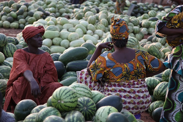 
          L’agriculture en Afrique 