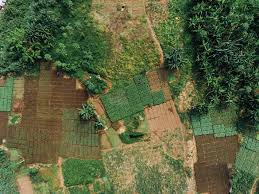 
          Investissement agricole