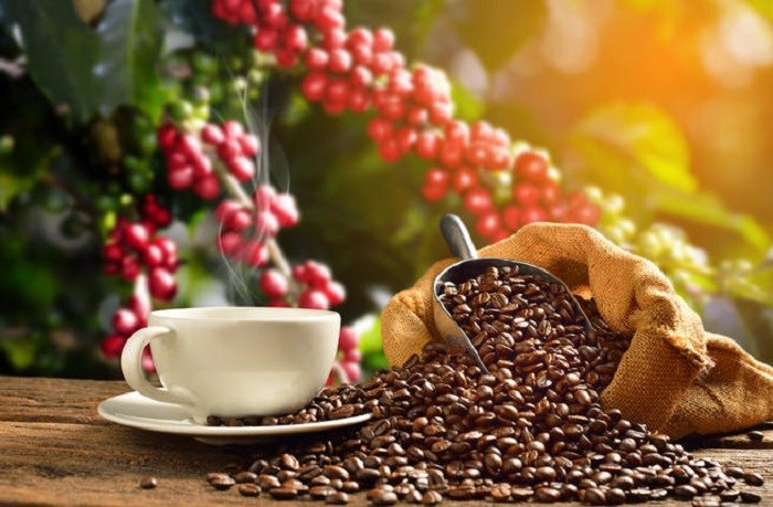 
          Le café 