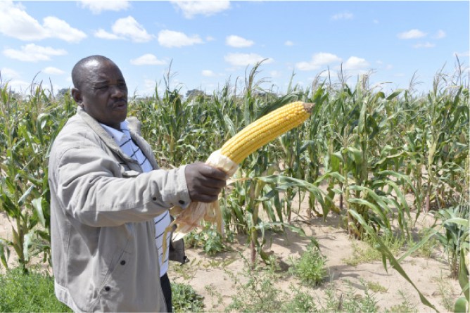 
          Technique agricole 