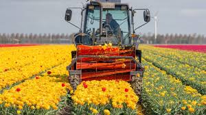 
          La Chronique Matières premières agricoles