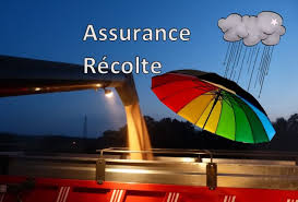 
          Assurance agricole 