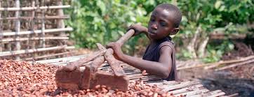 
          Les enfants et le cacao