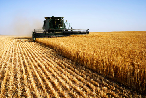 
          Prix des produits agricoles 