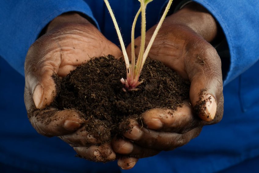 
          L’accès aux intrants agricoles 