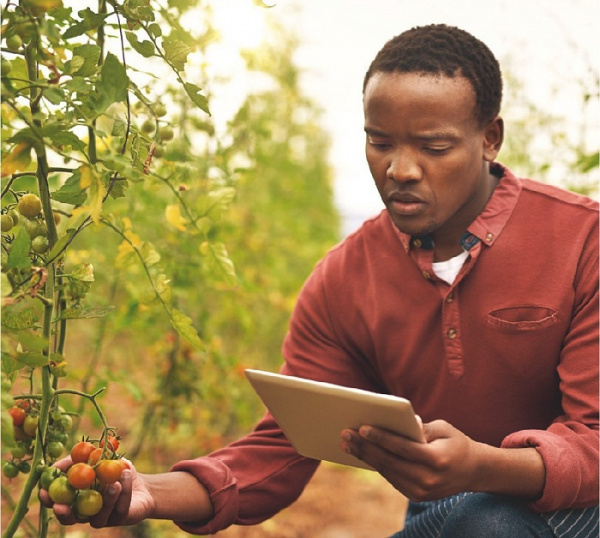 
          Prix GOGETTAZ Agripreneur 2019 pour jeunes Africains (50 000 $) 