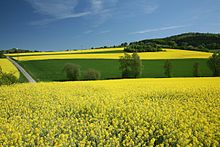 
          La Chronique Matières premières agricoles 