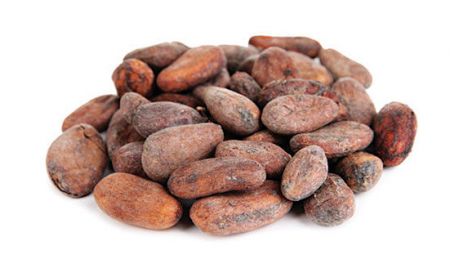 
          Le cacao au Cameroun 