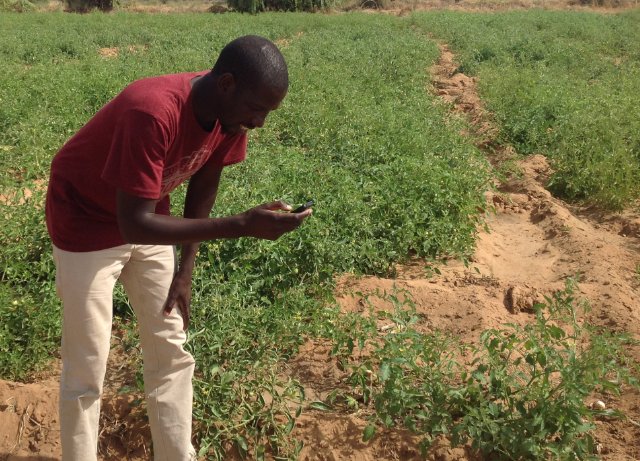
          L’équation Agriculture et TIC: Les innovations liées au TIC participe à relever le défis de la révolution agricole .