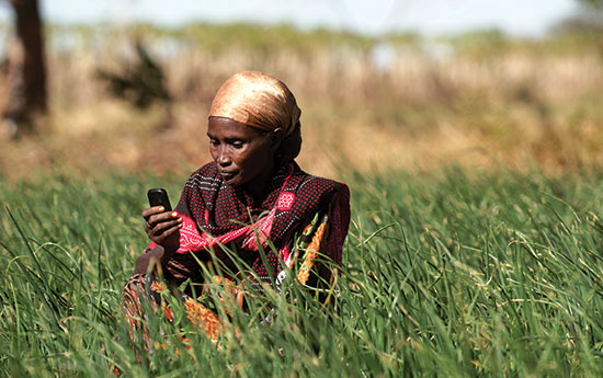 
          L’information se révèle être indispensable pour le développement agricole, d’où l’importance des TIC.