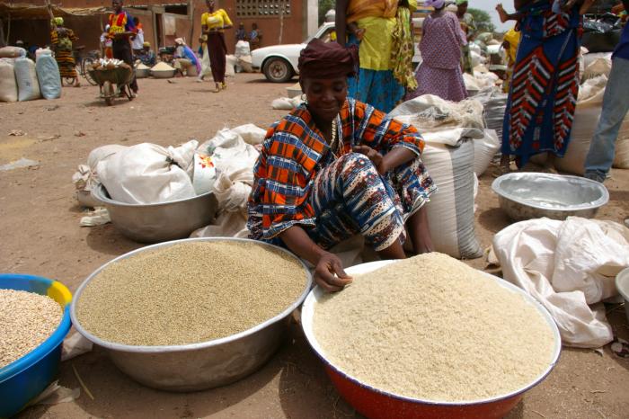 
          Le riz au Ghana: La Ghana Commodity Exchange (GCX) va coter le riz paddy et le riz usiné d’ici la fin de l’année.
