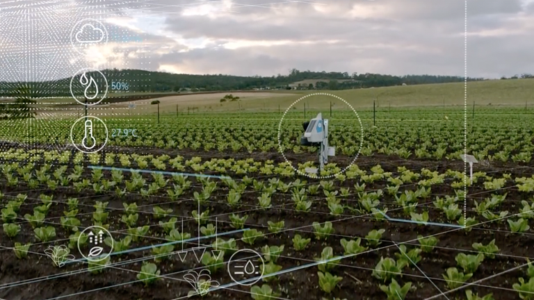 
          Numérisation de l’agriculture en Afrique: Microsoft, OCP et AGRA collaborent pour soutenir la transformation agricole en Afrique.