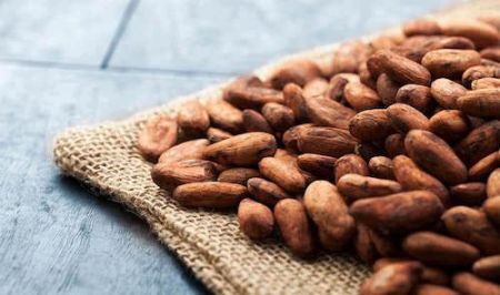 
          Prix cacao: Le prix du kilogramme de fèves de cacao au Cameroun 
