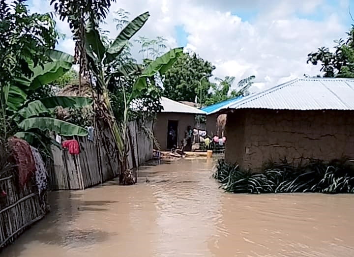 
          Agriculture Bénin:Le débordement du fleuve Mono au Bénin détruit des champs de coton et vivriers