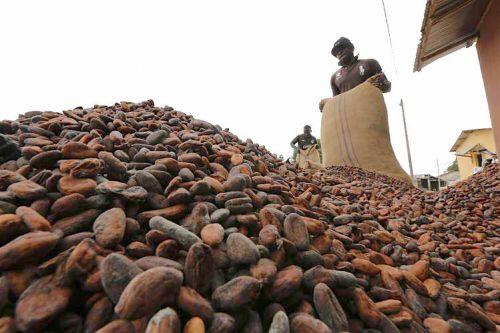 
          Prix cacao: OLAM conclu un achat de cacao incorporant une prime de $400 la tonne, dite différentiel de revenu vital (DRV)