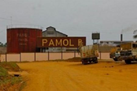 
          Agroindustrie au Cameroun: Pamol construit une nouvelle huilerie 