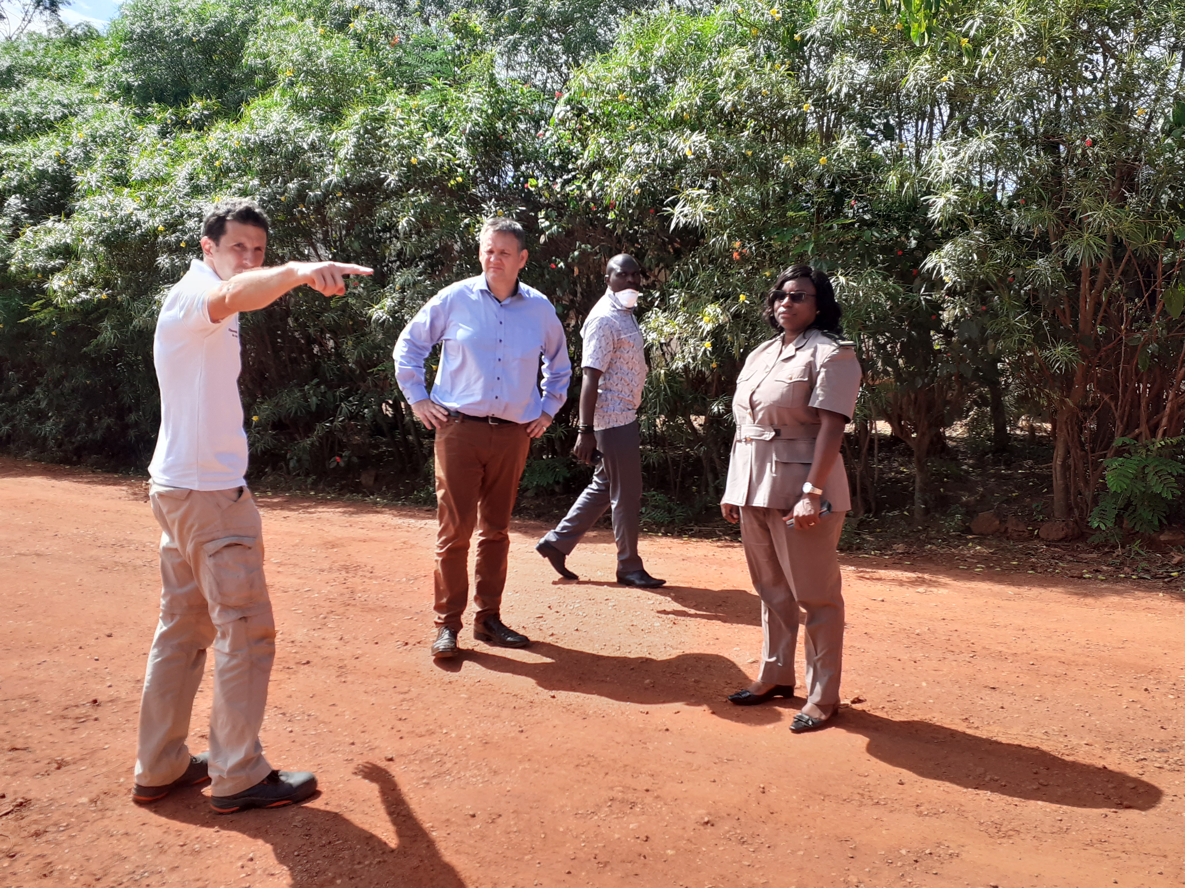 
          L'impact de la pandémie du Covid-19 sur les plantations de bananes et d'ananas de Côte d'Ivoire et sur les marchés de destination