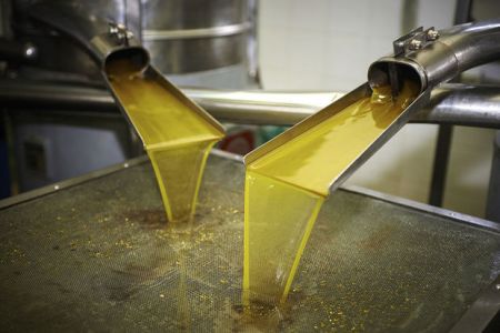
          Les exportations tunisiennes d’huile d’olive sous de bonnes perspectives